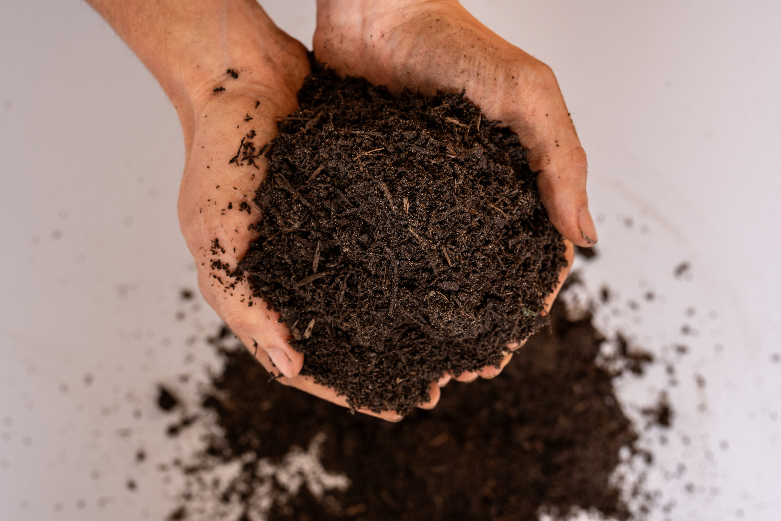 Deutschland Gartenbedarf Verkäufe 2024 -Deutschland Gartenbedarf Verkäufe 2024 123