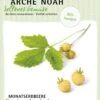 Bio Monatserdbeere "Fraise Des Bois" -Deutschland Gartenbedarf Verkäufe 2024 arche noah bio monatserdbeere fraise des bois 1 pkg 858596 de