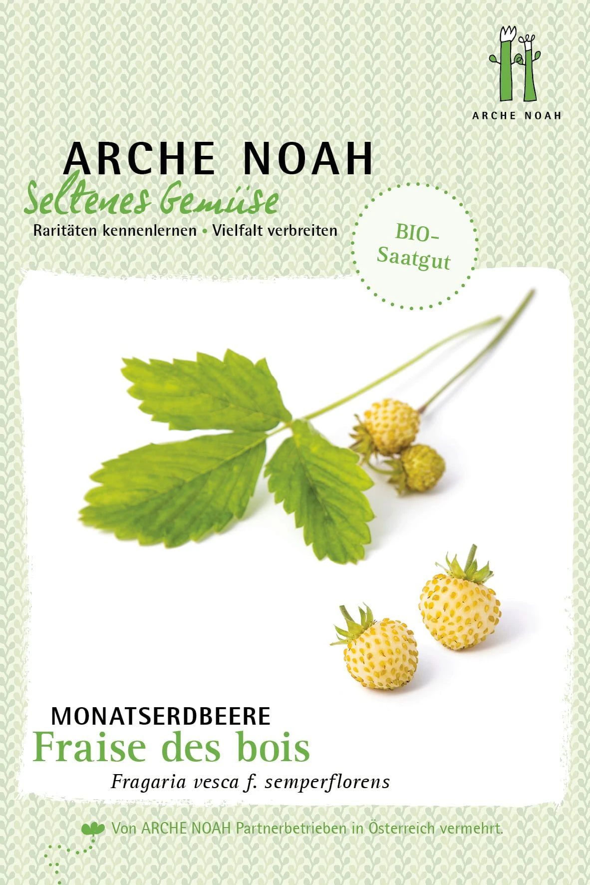 Bio Monatserdbeere "Fraise Des Bois" 3 Bio Monatserdbeere "Fraise Des Bois"