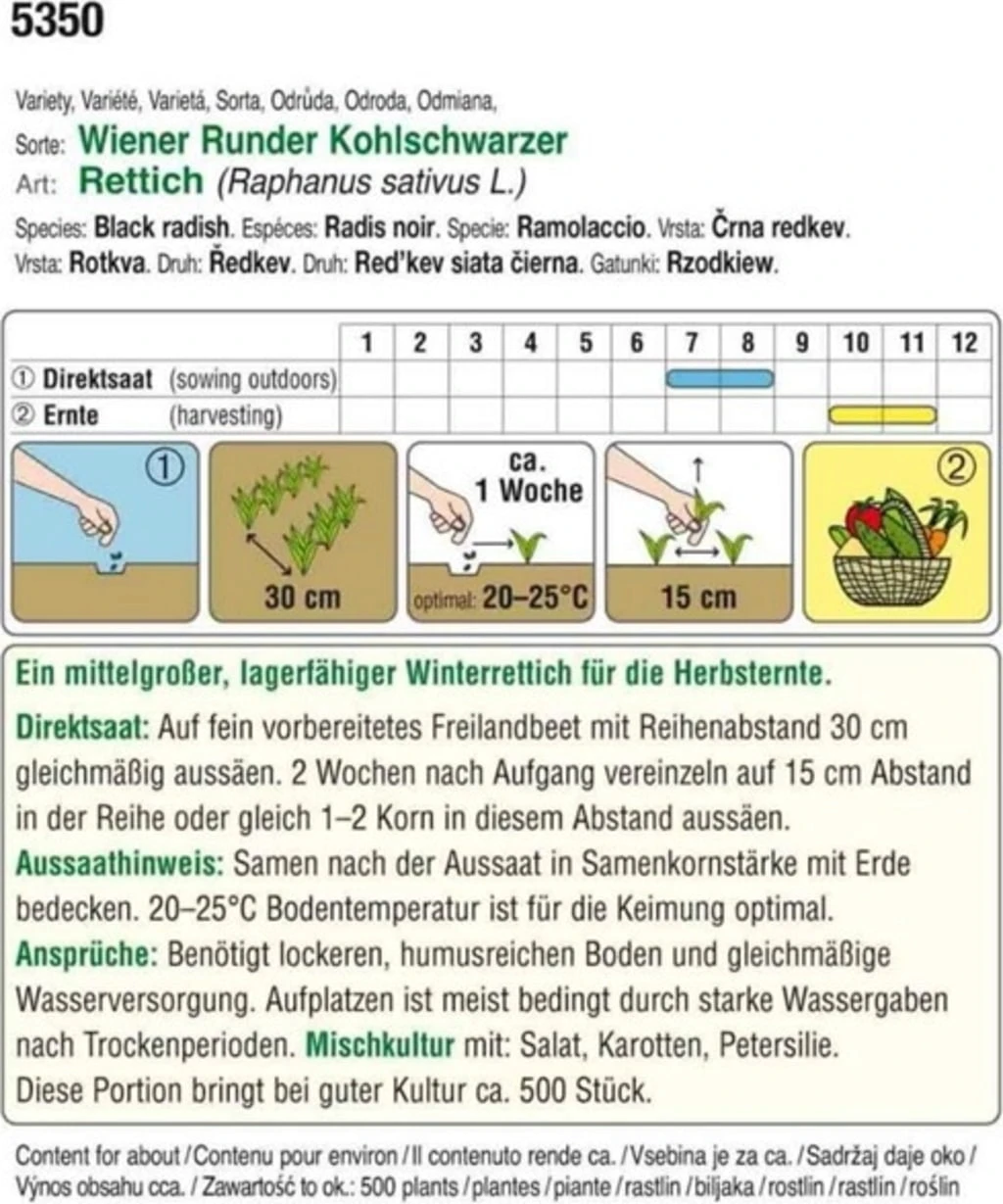Bio Rettich "Wiener Runder Kohlschwarzer" 4 Bio Rettich "Wiener Runder Kohlschwarzer" – Bild 2