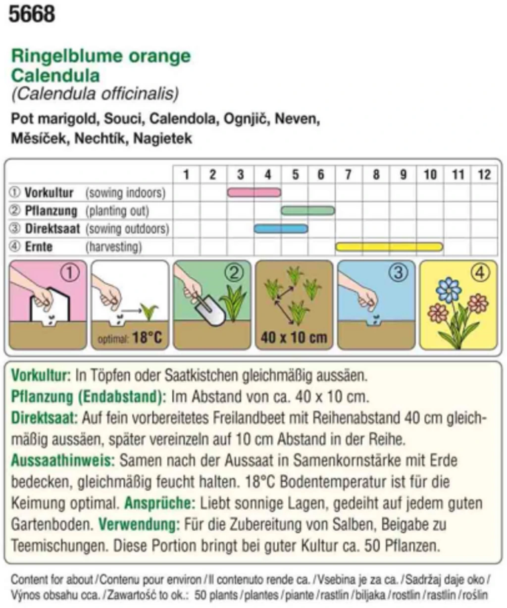 Bio Ringelblume Orange 4 Bio Ringelblume Orange – Bild 2