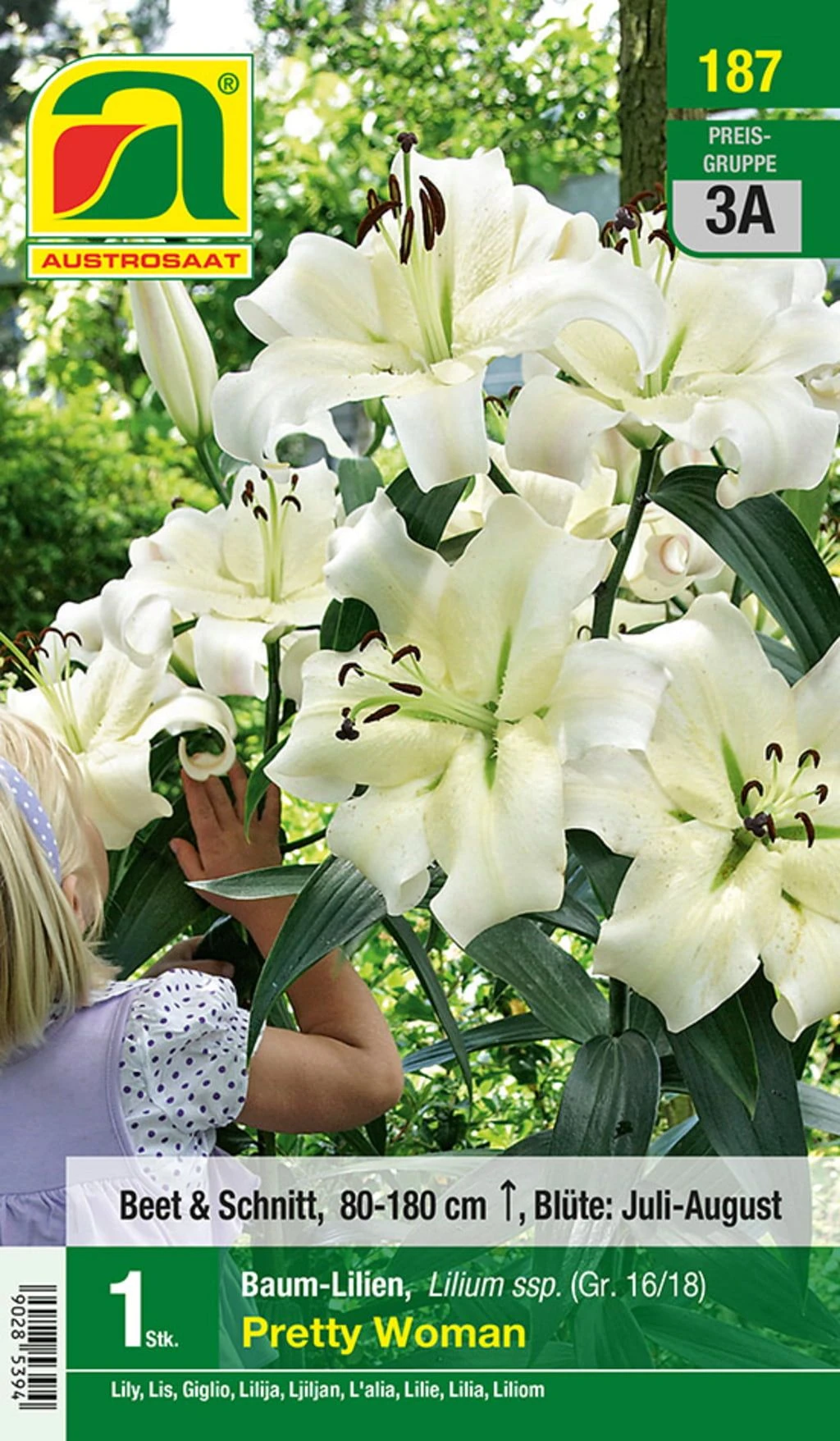 Blumenzwiebel, Baumlilien Pretty Woman 3 Blumenzwiebel, Baumlilien Pretty Woman