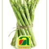 GOURMET EDITION Grünspargel "Mary Washington" -Deutschland Gartenbedarf Verkäufe 2024 austrosaat gourmet edition gruenspargel mary washington 1 packung 585646 de