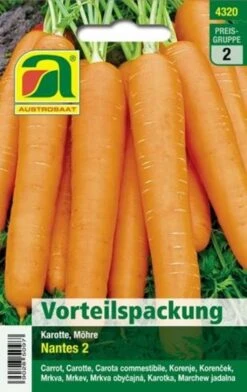 Karotte "Nantes 2" -Deutschland Gartenbedarf Verkäufe 2024 austrosaat karotte nantes 2 1 paket 1666686 de