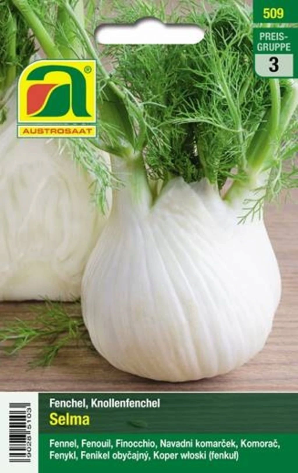 Knollenfenchel "Selma" 4 Knollenfenchel "Selma" – Bild 2