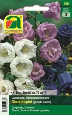 Marienglockenblume"Glockenspiel" 5 Marienglockenblume"Glockenspiel" -Deutschland Gartenbedarf Verkäufe 2024 austrosaat marienglockenblume glockenspiel 1 paket 1654284 de