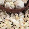 Pflanzknoblauch Gr. 40/60, 3 Stück -Deutschland Gartenbedarf Verkäufe 2024 austrosaat pflanzknoblauch gr 40 60 3 st 1667308 de