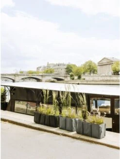 Pflanztasche Baclong 3 "Colours" - 110 Liter, Taupe 7 Pflanztasche Baclong 3 "Colours" - 110 Liter, Taupe -Deutschland Gartenbedarf Verkäufe 2024 bacsac pflanztasche baclong 3 colours 110 liter 1681225 de