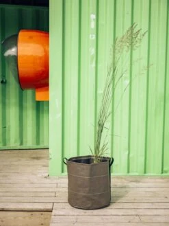 Pflanztasche "Classic" - Geotextil, 10 L -Deutschland Gartenbedarf Verkäufe 2024 bacsac pflanztasche classic geotextil 1681147 de