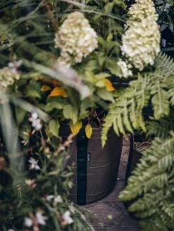 Pflanztasche "Classic" - Geotextil, 10 L -Deutschland Gartenbedarf Verkäufe 2024 bacsac pflanztasche classic geotextil 1681150 de