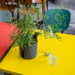 Pflanztasche "Colour" - 10 Liter, Ingwer -Deutschland Gartenbedarf Verkäufe 2024 bacsac pflanztasche colour 10 liter 1681162 de