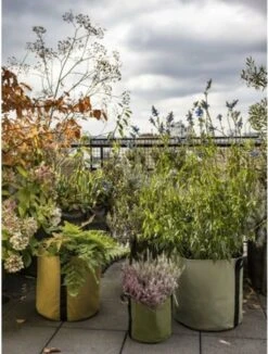 Pflanztasche "Colour" - 25 Liter, Limette 11 Pflanztasche "Colour" - 25 Liter, Limette -Deutschland Gartenbedarf Verkäufe 2024 bacsac pflanztasche colour 25 liter 1681188 de