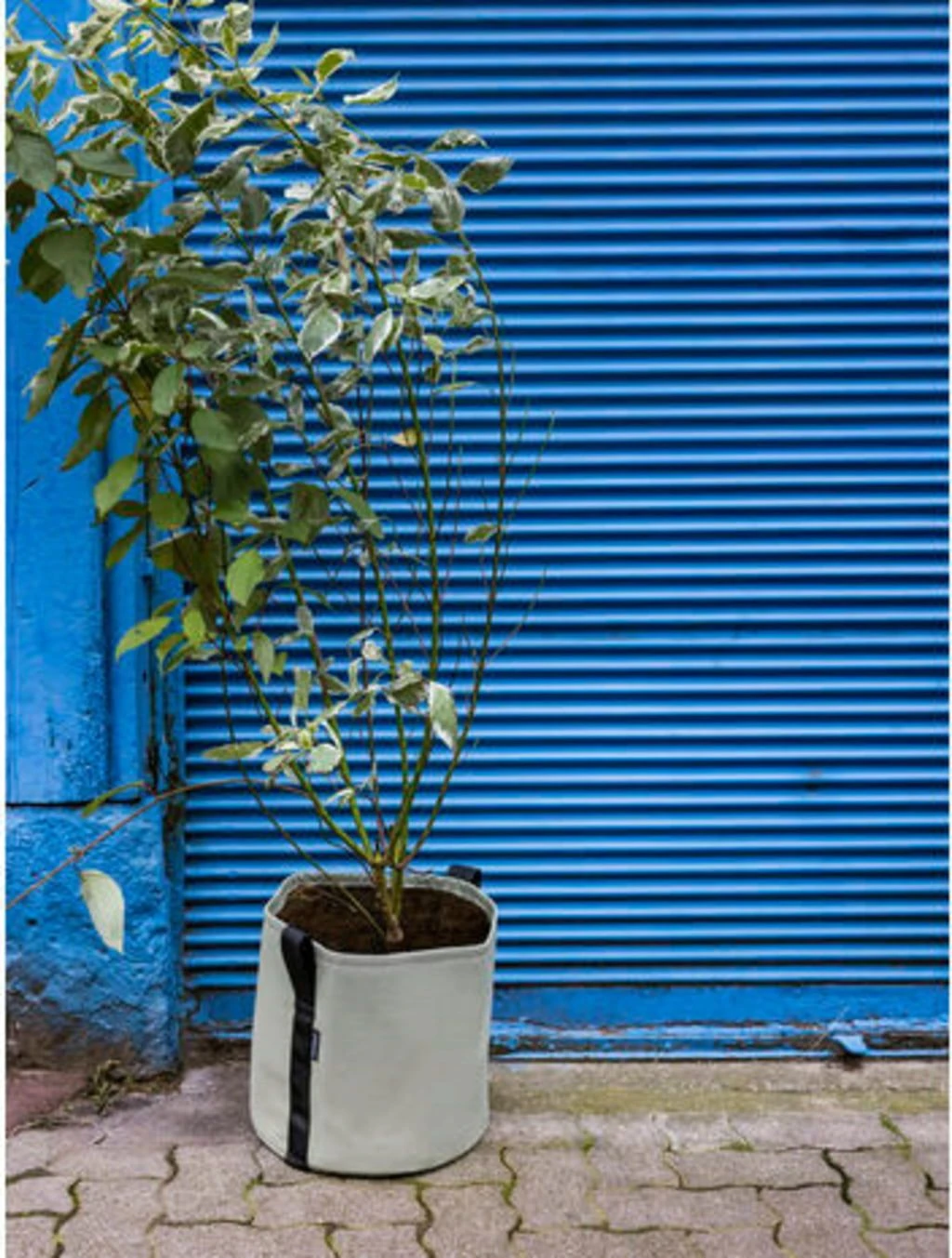 Pflanztasche "Colour" - 25 Liter, Limette 8 Pflanztasche "Colour" - 25 Liter, Limette – Bild 6