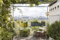 Pflanztasche Zum Hängen "Colours", Asphalt 7 Pflanztasche Zum Hängen "Colours", Asphalt -Deutschland Gartenbedarf Verkäufe 2024 bacsac pflanztasche zum haengen colours 1681214 de