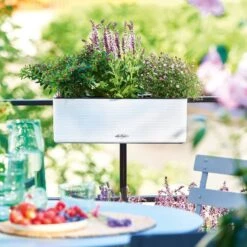 LECHUZA CUBE Color Triple Komplett-Set, Sandbraun -Deutschland Gartenbedarf Verkäufe 2024 balconissima color 40 komplett set 648942 de