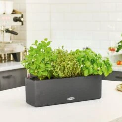 LECHUZA CUBE Color Triple Komplett-Set, Sandbraun -Deutschland Gartenbedarf Verkäufe 2024 balconissima color 40 komplett set 648962 de