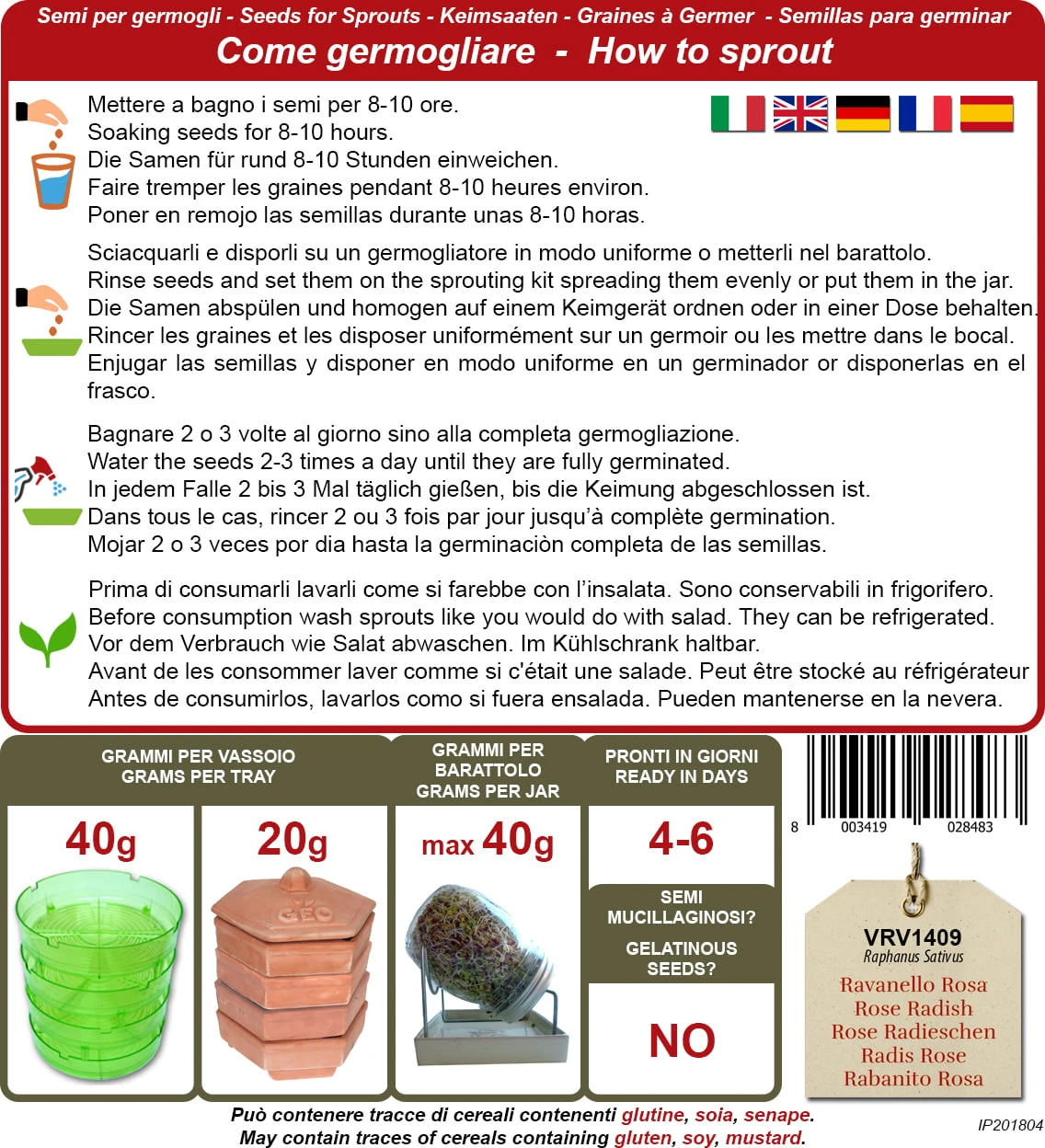 Bio Keimsprossen "China Rose", 20 G 4 Bio Keimsprossen "China Rose", 20 G – Bild 2