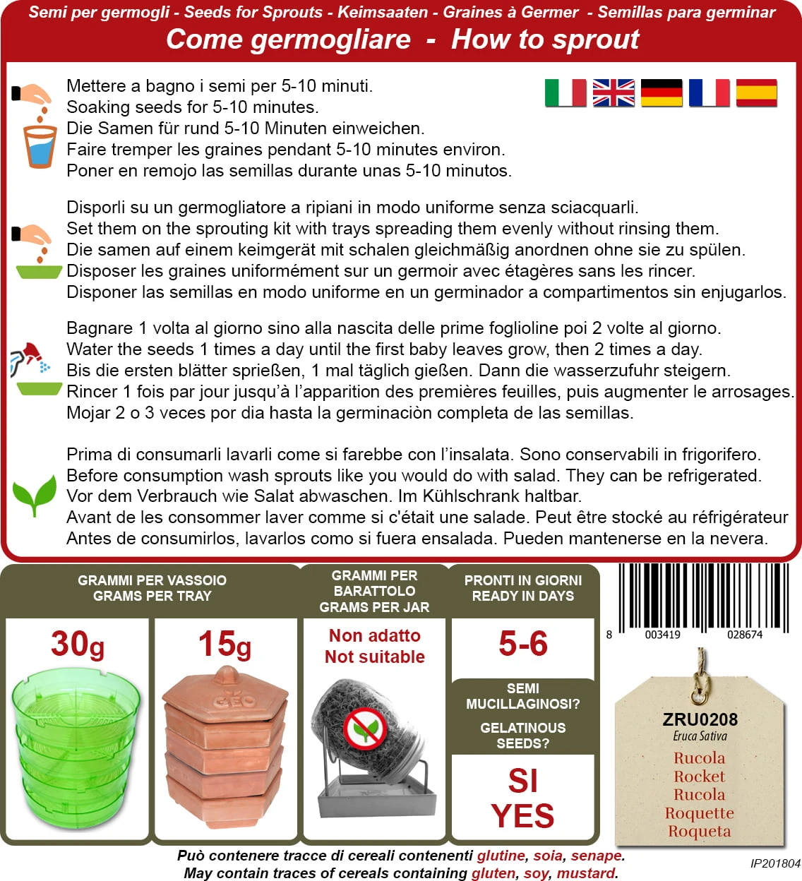 Bio Keimsprossen "Rucola", 30 G 4 Bio Keimsprossen "Rucola", 30 G – Bild 2