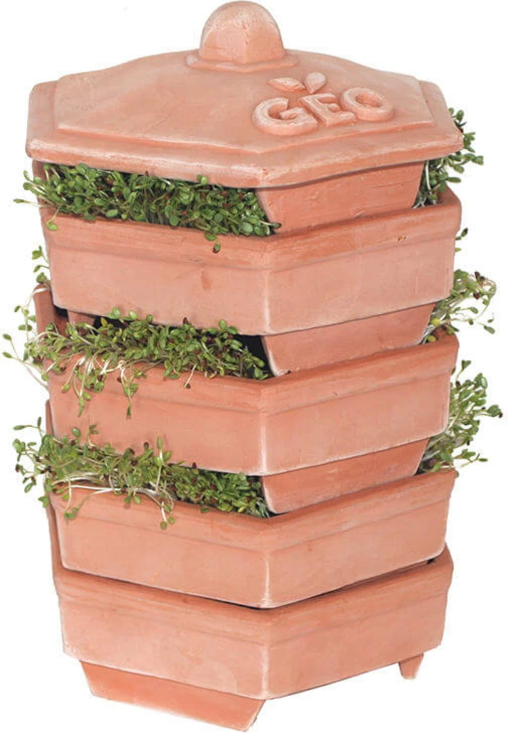 Geo Terracotta Keimturm 2 Geo Terracotta Keimturm