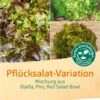 Pflück-Salat-Mischung 1 Pflück-Salat-Mischung -Deutschland Gartenbedarf Verkäufe 2024 bingenheimer saatgut pflueck salat mischung 1 paket 1678148 de
