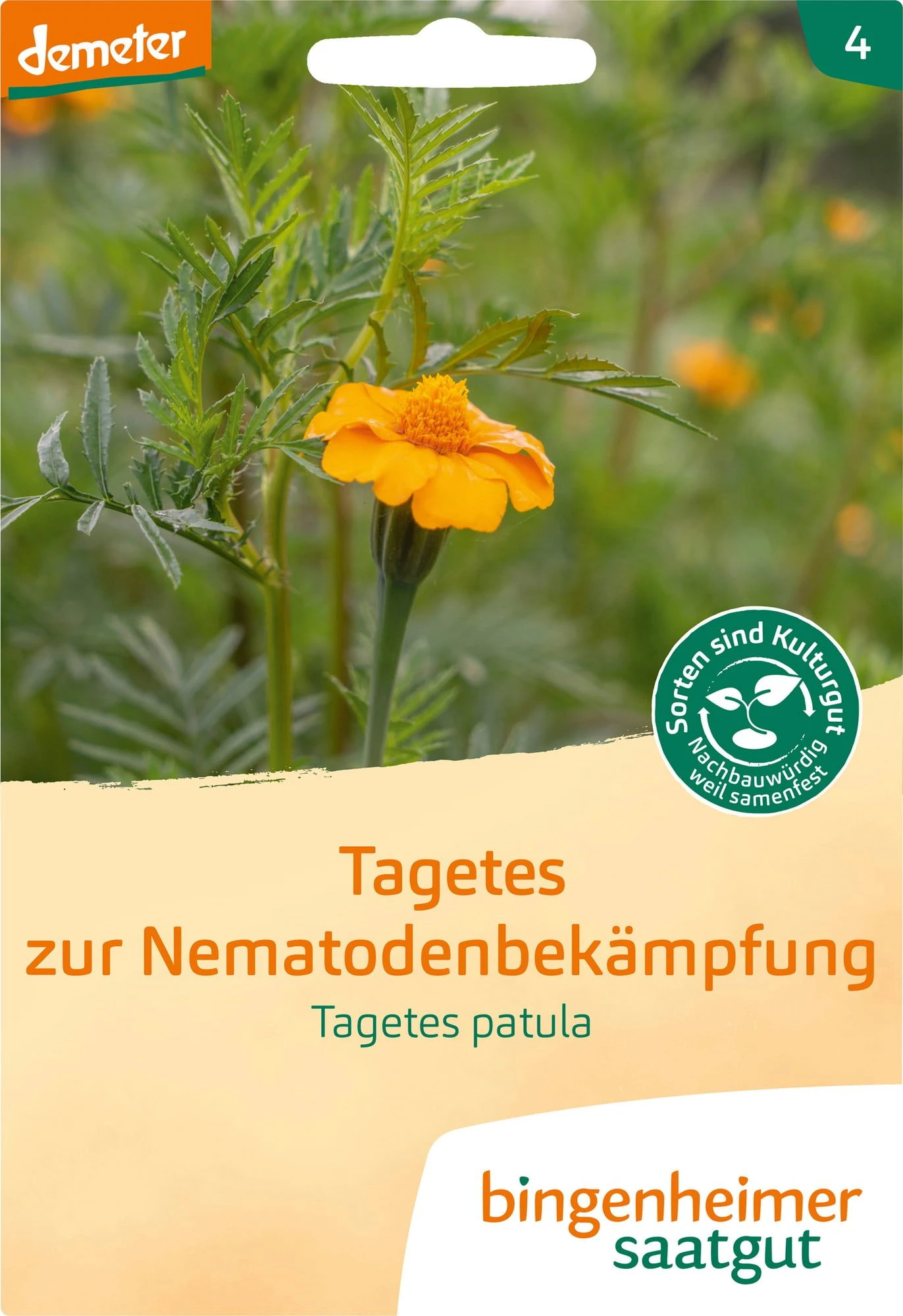 Tagetes Zur Nematodenbekämpfung 4 Tagetes Zur Nematodenbekämpfung – Bild 2