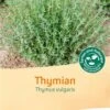 Thymian 1 Thymian -Deutschland Gartenbedarf Verkäufe 2024 bingenheimer saatgut thymian 1 paket 1678177 de