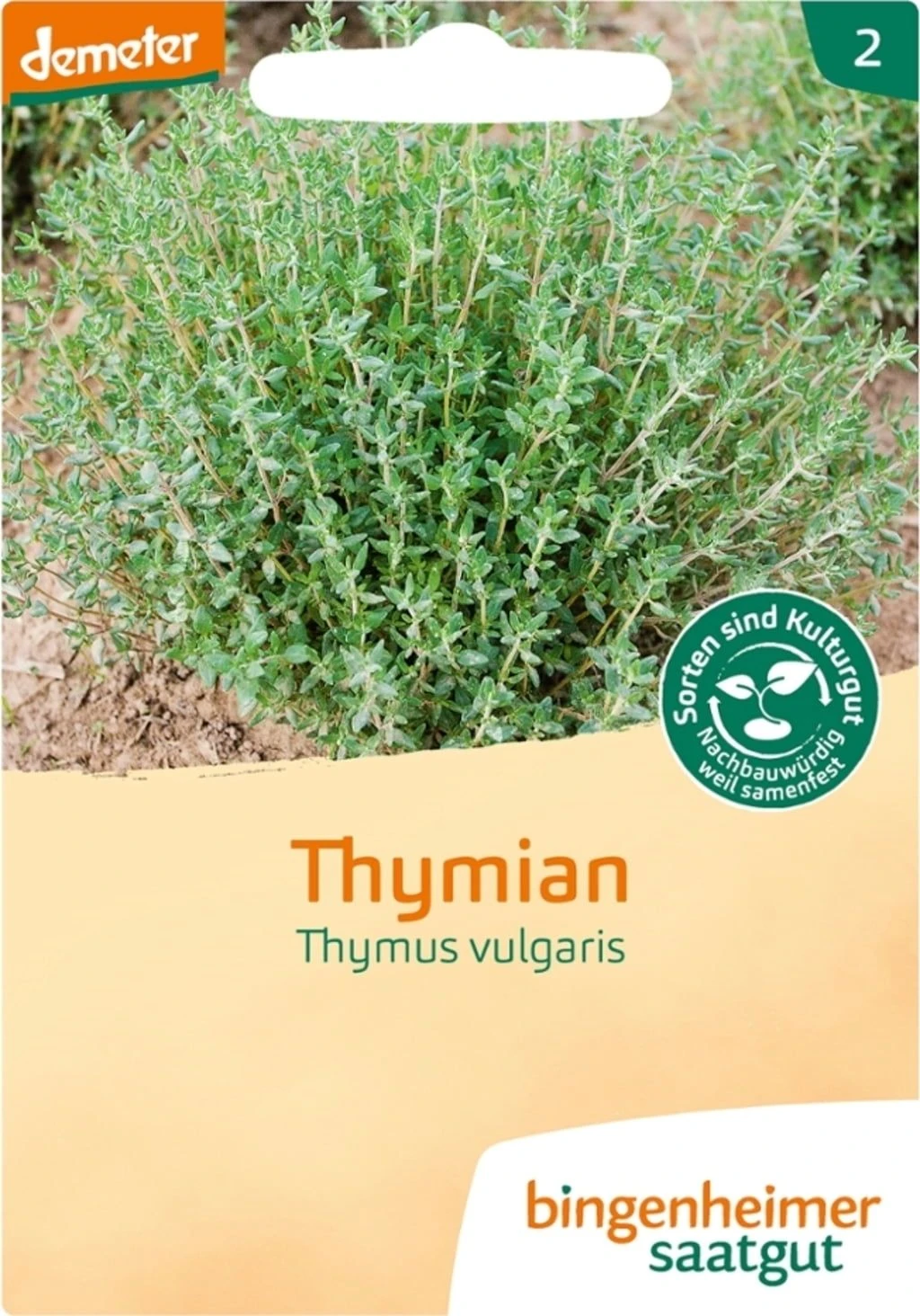Thymian 3 Thymian