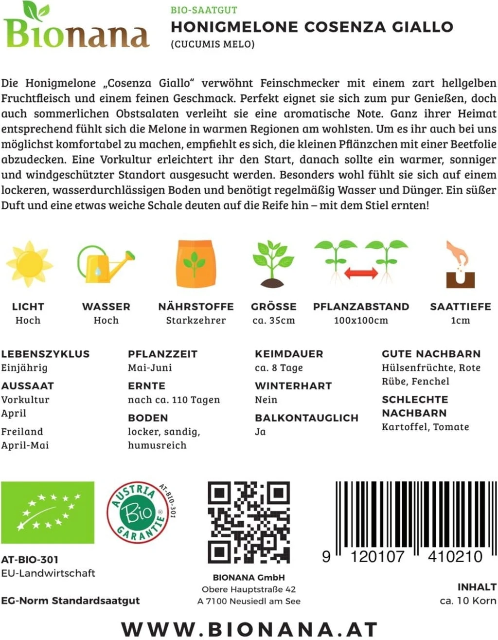 Bio Honigmelone „Cosenza Giallo“ 4 Bio Honigmelone „Cosenza Giallo“ – Bild 2