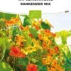 Bio Kapuzinerkresse Mix 2 Bio Kapuzinerkresse Mix -Deutschland Gartenbedarf Verkäufe 2024 bionana bio kapuzinerkresse mix 1 paket 1674689 de