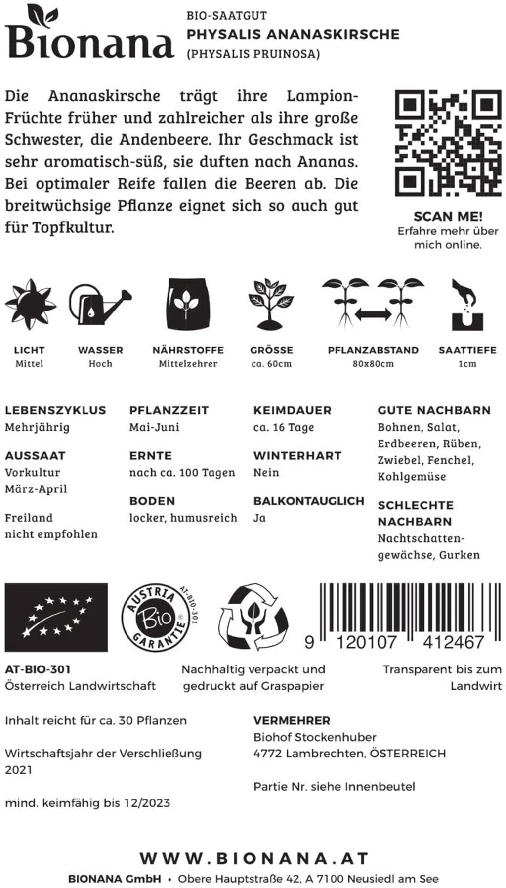 Bio Physalis Ananaskirsche 3 Bio Physalis Ananaskirsche