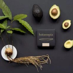 Keimplatte, Large 27 Keimplatte, Large -Deutschland Gartenbedarf Verkäufe 2024 botanopia keimplatte large 1581795 de