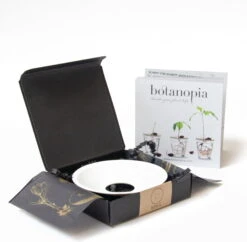 Keimplatte, Large 22 Keimplatte, Large -Deutschland Gartenbedarf Verkäufe 2024 botanopia keimplatte large 1581826 de