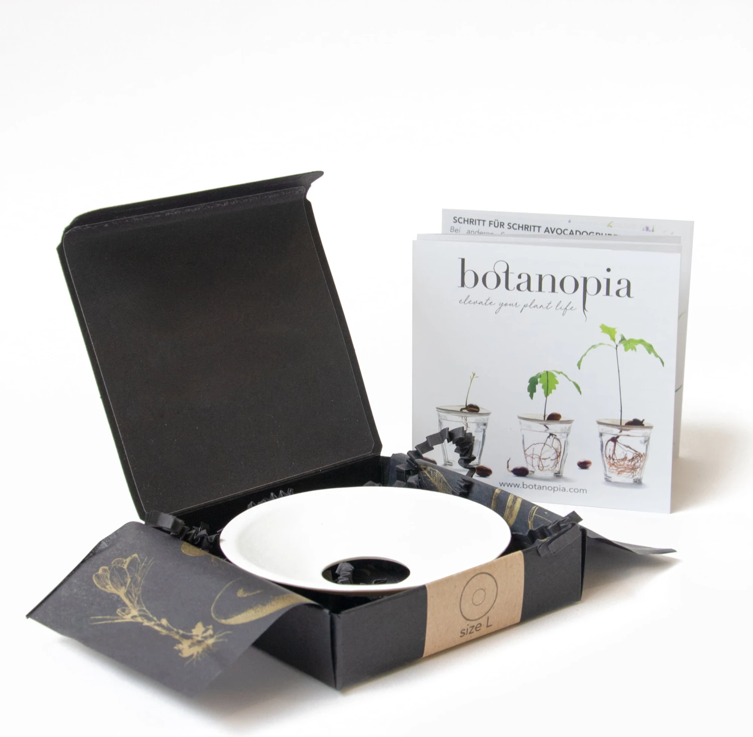 Keimplatte, Large 9 Keimplatte, Large – Bild 7