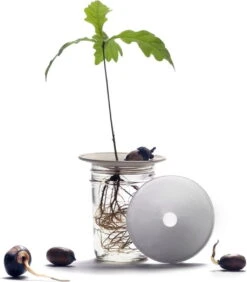 Keimplatte, Large 23 Keimplatte, Large -Deutschland Gartenbedarf Verkäufe 2024 botanopia keimplatte large 1675947 de