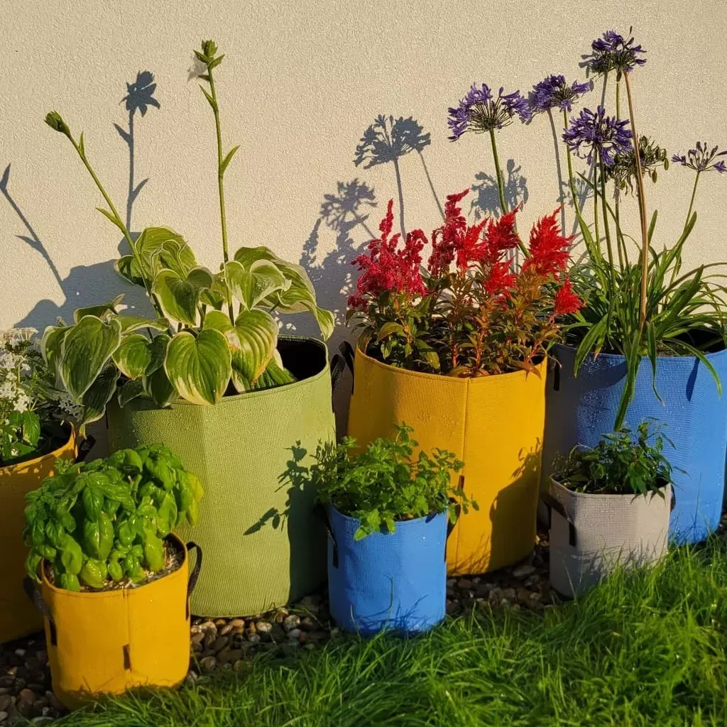 Pflanztasche Aus Geotextil ∅ 40 Cm, Grün 7 Pflanztasche Aus Geotextil ∅ 40 Cm, Grün – Bild 5