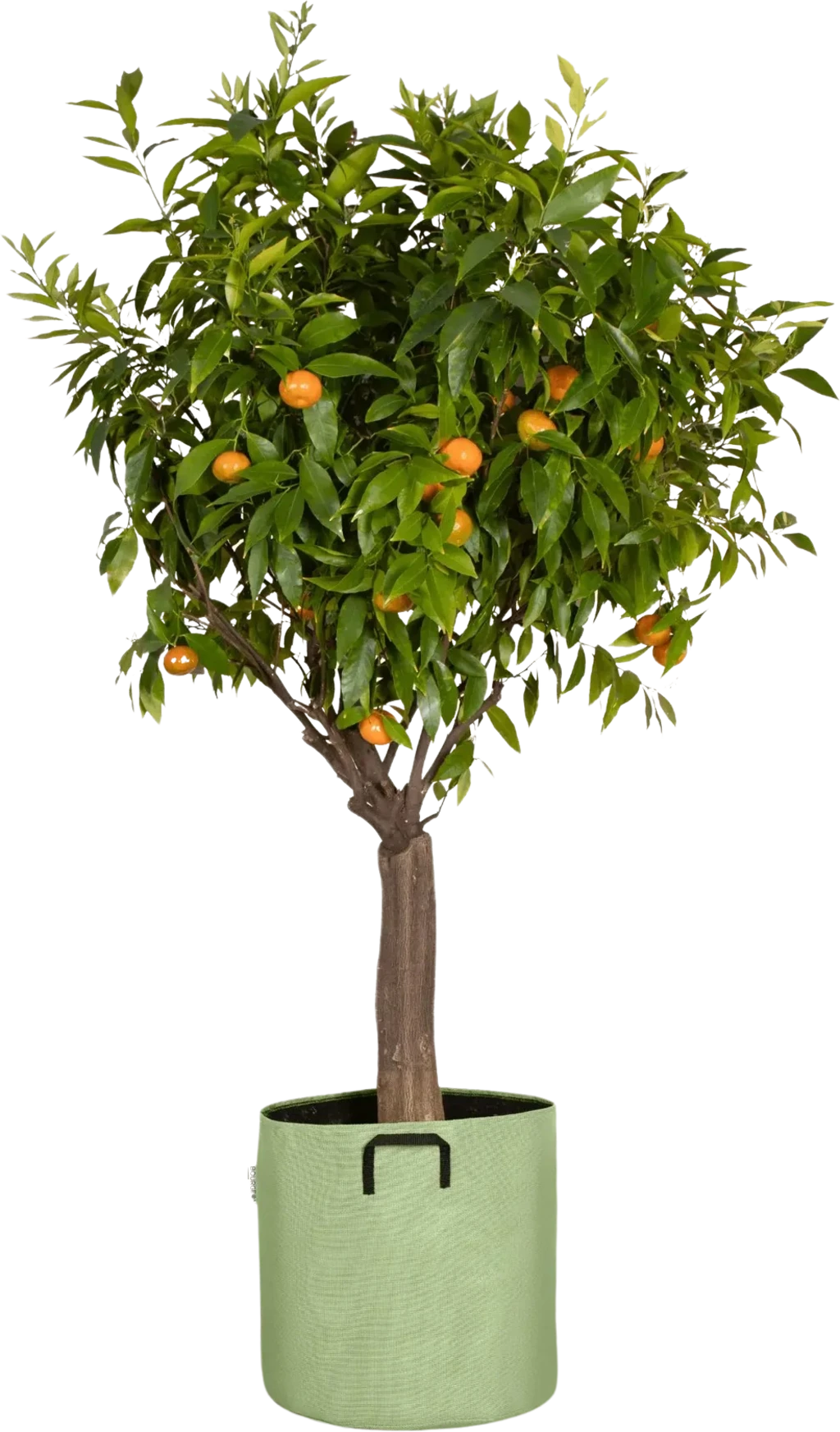 Pflanztasche Aus Geotextil ∅ 40 Cm, Grün 4 Pflanztasche Aus Geotextil ∅ 40 Cm, Grün – Bild 2