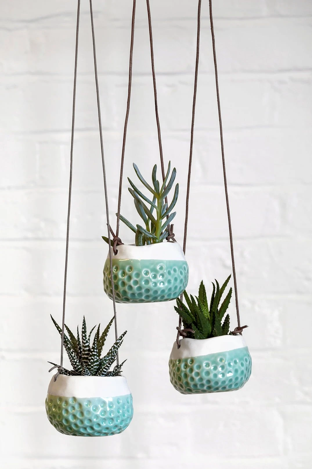 Hängetopf "Baby Dotty" 4 Hängetopf "Baby Dotty" – Bild 2