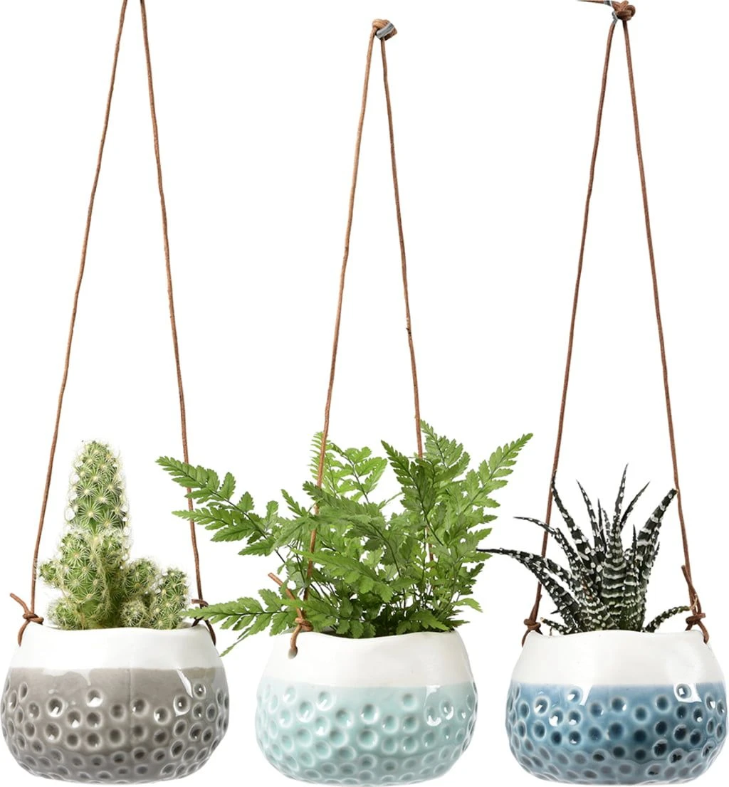 Hängetopf-Set "Baby Dotty" 3 Hängetopf-Set "Baby Dotty"