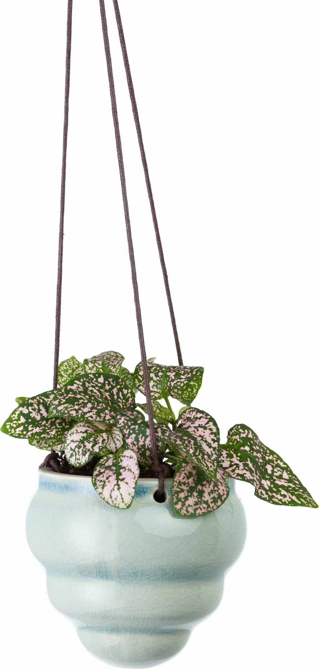 Hängetopf-Trio "Baby Bombini" 6 Hängetopf-Trio "Baby Bombini" – Bild 4