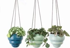 Hängetopf-Trio "Baby Bombini" 22 Hängetopf-Trio "Baby Bombini" -Deutschland Gartenbedarf Verkäufe 2024 burgon ball haengetopf trio baby bombini 1 set 861515 de