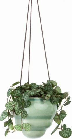 Hängetopf-Trio "Baby Bombini" 23 Hängetopf-Trio "Baby Bombini" -Deutschland Gartenbedarf Verkäufe 2024 burgon ball haengetopf trio baby bombini 1 set 861536 de