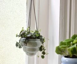 Hängetopf-Trio "Baby Bombini" 25 Hängetopf-Trio "Baby Bombini" -Deutschland Gartenbedarf Verkäufe 2024 burgon ball haengetopf trio baby bombini 1 set 861550 de