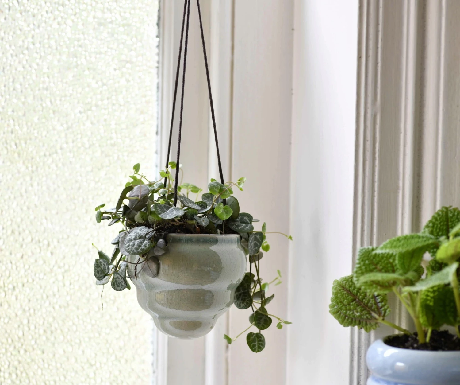 Hängetopf-Trio "Baby Bombini" 14 Hängetopf-Trio "Baby Bombini" – Bild 12