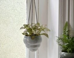 Hängetopf-Trio "Baby Bombini" 24 Hängetopf-Trio "Baby Bombini" -Deutschland Gartenbedarf Verkäufe 2024 burgon ball haengetopf trio baby bombini 1 set 861557 de