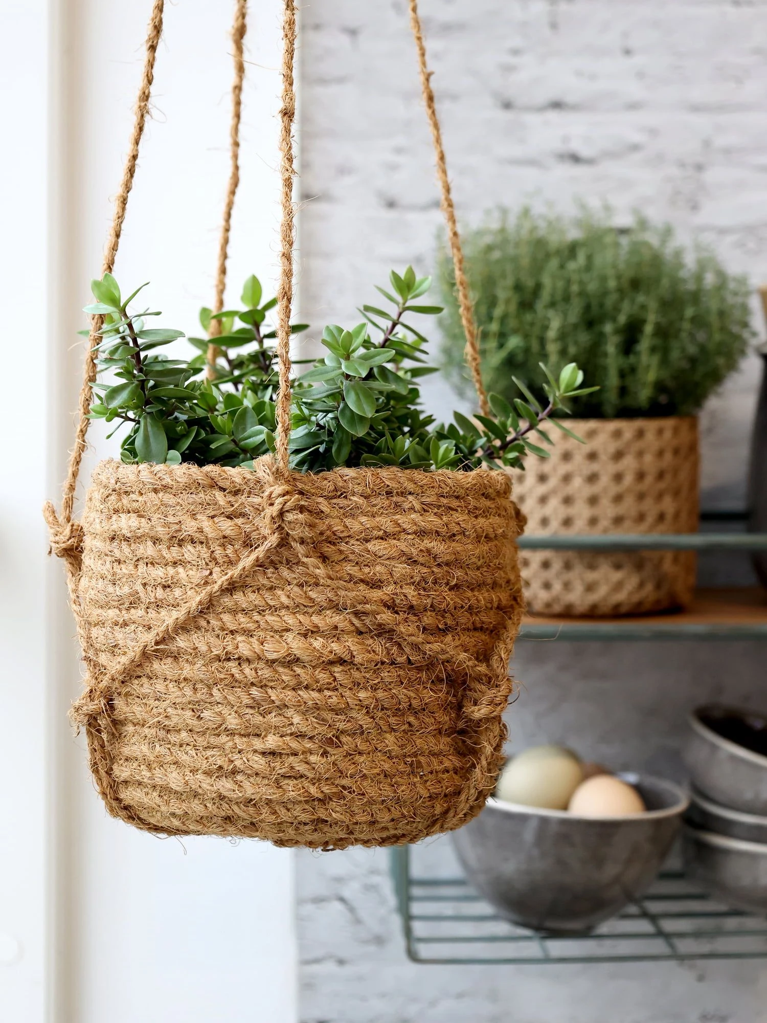 Blumenampel Korb Natur, H14/D18 Cm 9 Blumenampel Korb Natur, H14/D18 Cm – Bild 7