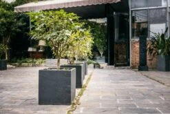 Pflanzkübel CUBI 40 11 Pflanzkübel CUBI 40 -Deutschland Gartenbedarf Verkäufe 2024 climaqua pflanzkuebel cubi 40 1 st 1677453 de