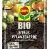 Compo BIO Zitruspflanzenerde Torffrei, 10 L 2 Compo BIO Zitruspflanzenerde Torffrei, 10 L -Deutschland Gartenbedarf Verkäufe 2024 compo bio zitruspflanzenerde torffrei 10 l 1659970 de