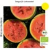 Bio Wassermelone Blacktail Mountain 2 Bio Wassermelone Blacktail Mountain -Deutschland Gartenbedarf Verkäufe 2024 culinaris bio wassermelone blacktail mountain 1 paket 1683593 de