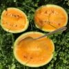 Bio Wassermelone Solopoly 2 Bio Wassermelone Solopoly -Deutschland Gartenbedarf Verkäufe 2024 culinaris bio wassermelone solopoly 1 pkg 1602218 de