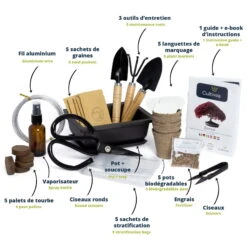 Bonsai Anzucht-Set "Ready To Grow" -Deutschland Gartenbedarf Verkäufe 2024 cultivea bonsai anzucht set ready to grow 1377470 de